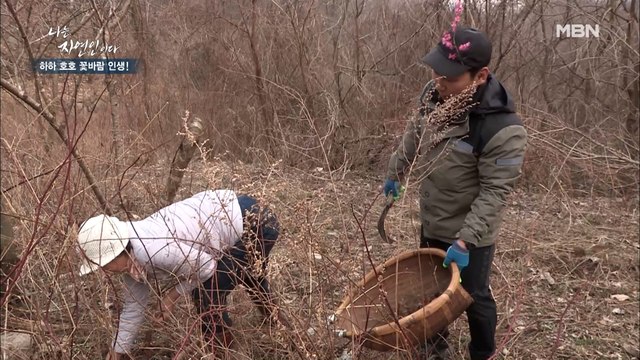 관절 건강에 최고! 자연인이 거침없이 캐는 OO의 정체는?!