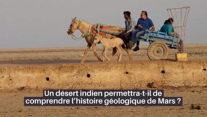 Les Français trient mieux mais ont encore des progrès à faire_IN