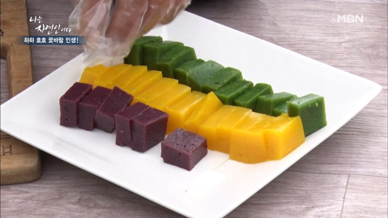 [자연밥상] 보기 좋은 '묵' 맛도 좋다! 이승윤도 홀딱 반한 '3색 묵'의 맛은?