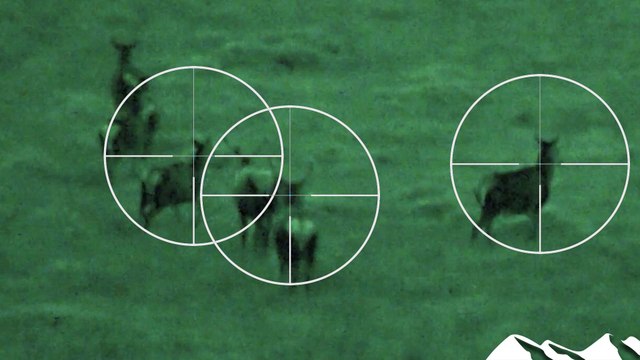 Deer Act shake-up horror for Scottish sporting estates