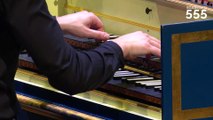 Scarlatti : Sonate pour clavecin en Fa Majeur K 542 L 167, par Paolo Zanzu - #Scarlatti555