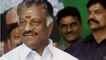 OPS softens stand against Sasikala, says she can return to AIADMK if she accepts party's structure