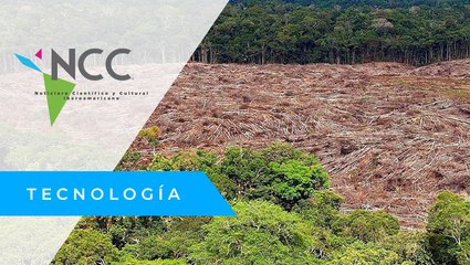 “Amazonía bajo presión”; un estudio que busca proteger la riqueza del bosque