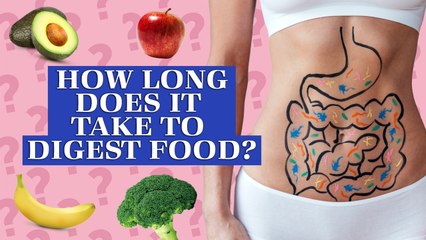 How Long Does it Take to Digest Food