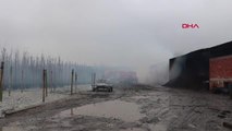 Son dakika haberi | SAKARYA Sakarya'da sera deposunda yangın