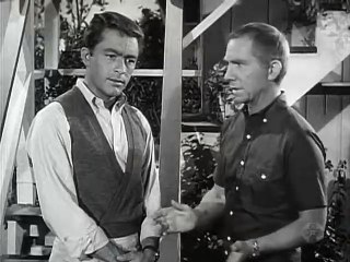 My Favorite Martian S2 E04 Nothing But The Truth