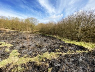 Hartlepool park grassland destroyed by fire