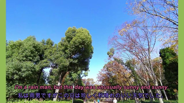[Historic sites in Japan seen in the photo] Take a walk in Osaka Castle Park in late autumn while enjoying the autumn colors