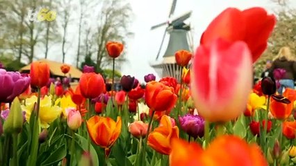 The Best Cities for Outdoor Spring Activities and What To Do Instead if You Don’t Want To Travel