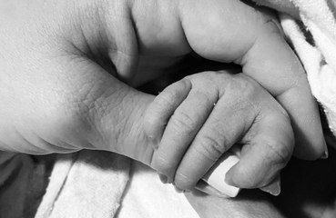 Ashley Tisdale has given birth!