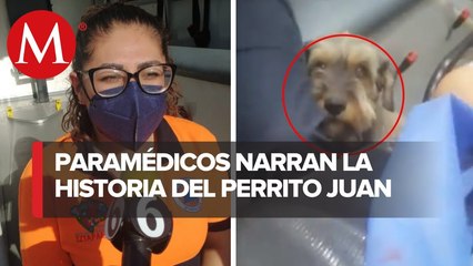 _En sus ojitos se le miraba la tristeza__ narran cómo subió perrito a ambulancia con dueño