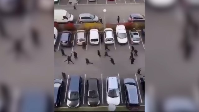 Fleury-Mérogis : une violente rixe entre deux bandes rivales sème la terreur