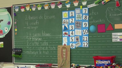 TOPO - N.-B. : ENCADREMENT EN PSYCHOLOGIE POUR DES ENSEIGNANTS CRITIQUÉ