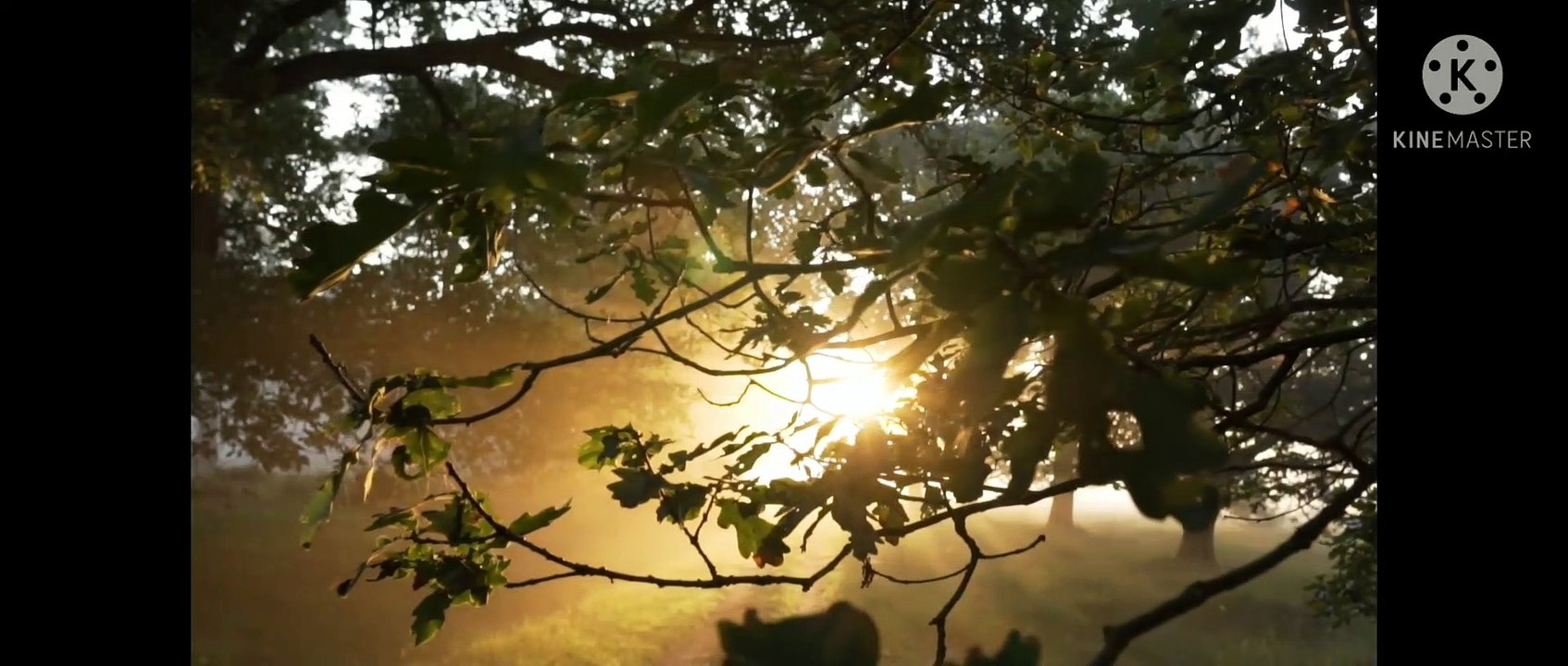 Morning Reflection