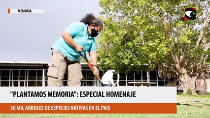 Plantamos memoria, especial homenaje