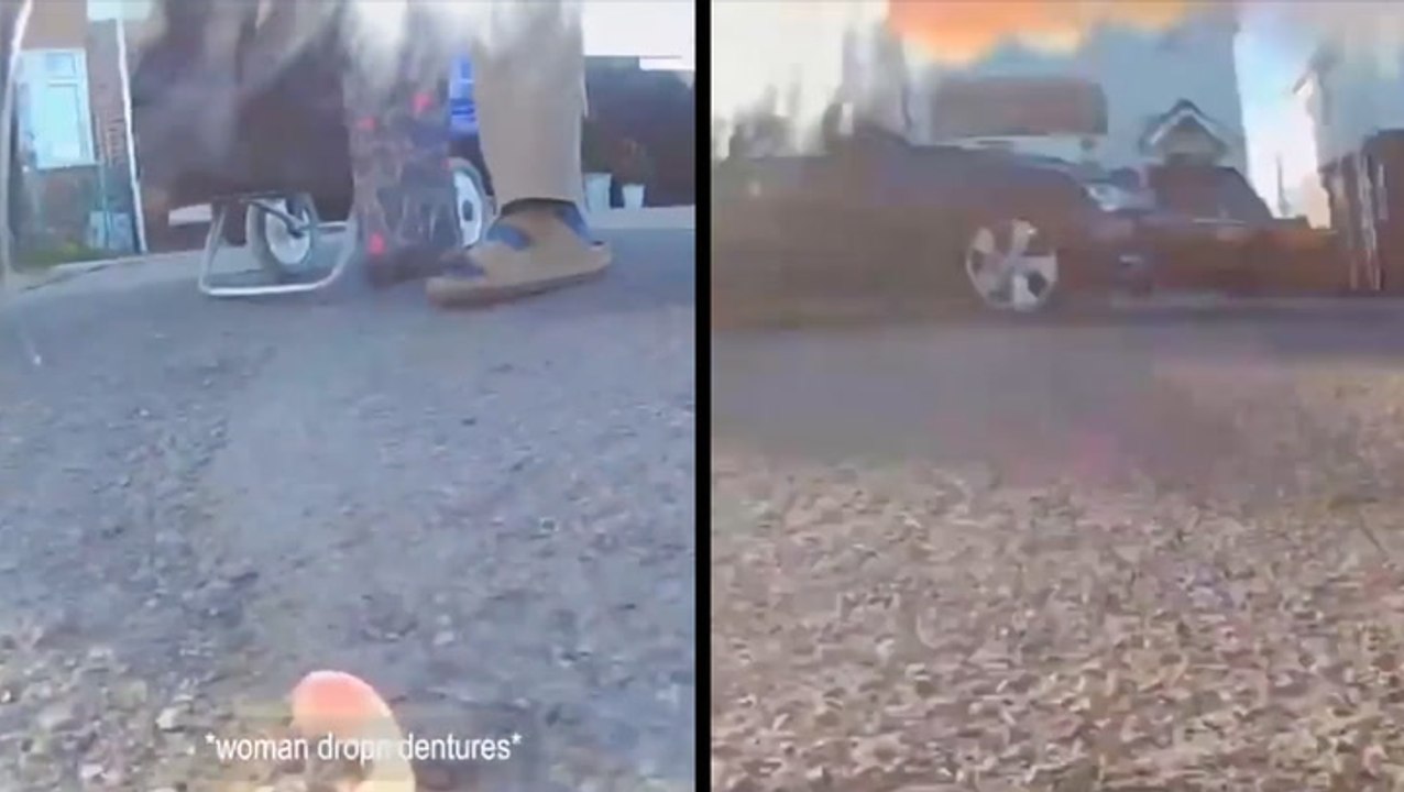 Look What The Cat Dragged In...A Pair Of Dentures!