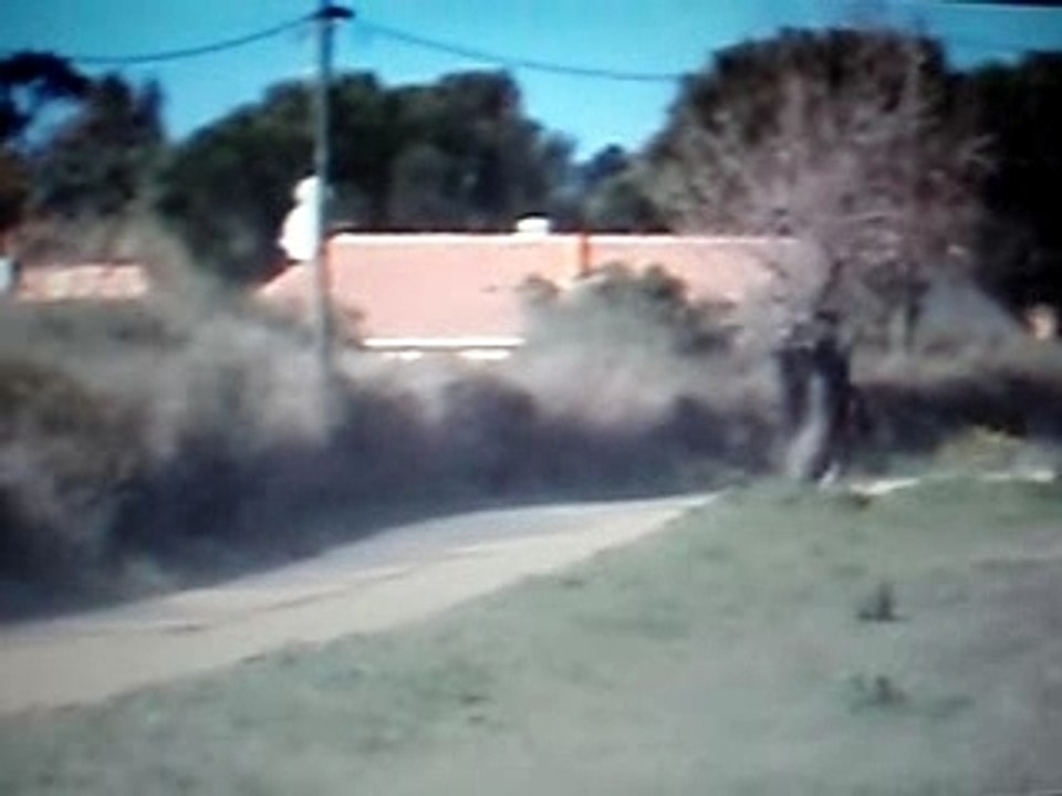 Mise en scène au galop, cheval de course réformé