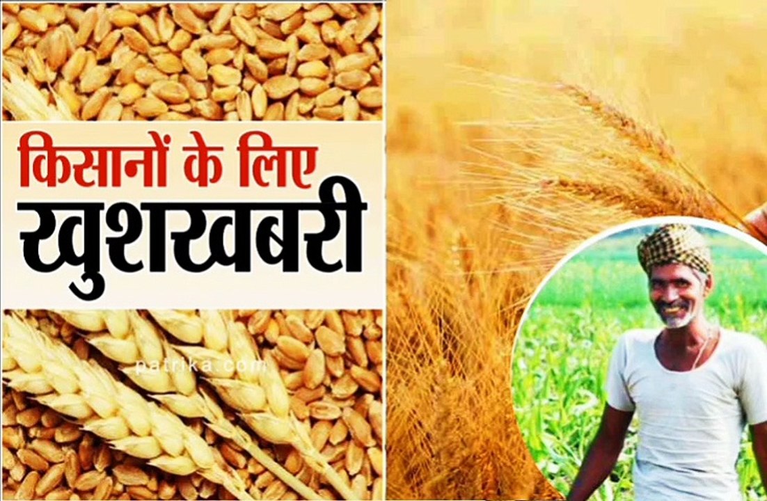 जिले के 82 केंद्रों पर होगी समर्थन मूल्य की खरीदी, तैयारियां जोरों पर