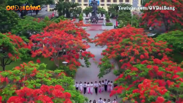 Tiểu sử Lâm Già – Bộ Đội Già duy nhất còn sót lại ở Hải Phòng