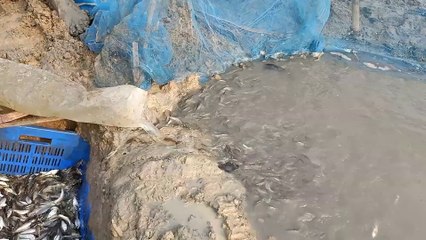 What is the blessing of Allah  Tengra fishing magic. Fishing method (part-2)