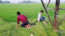 Must Watch Top Now Funny And Comedy Video -2021 Episode - 01 / Bindas Fun Masti /