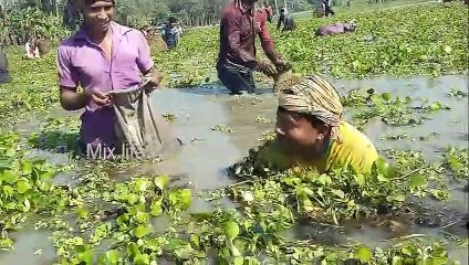 Traditional Bangladeshi Polo Fishing  Polo Fishing Festival