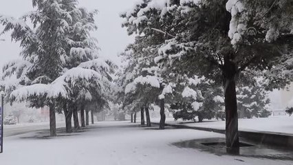 Erzincan martta yeniden beyaza büründü