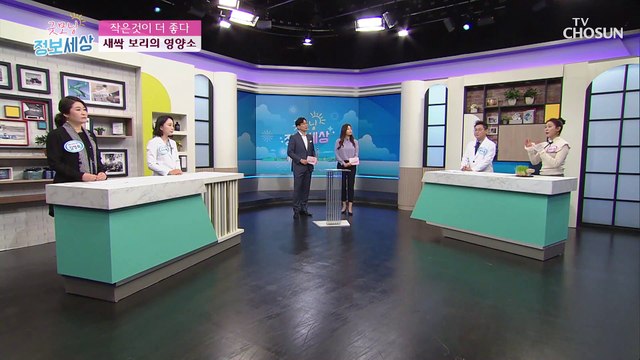 새싹 보리 비만 억제 & 해독 다이어트에 도움 TV CHOSUN 2103225 방송