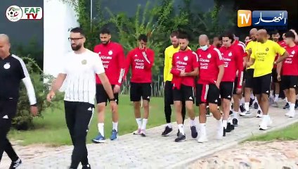 زامبيا-الجزائر .. الخضر في لوزاكا لتعزيز الصدارة وتأكيد السيطرة