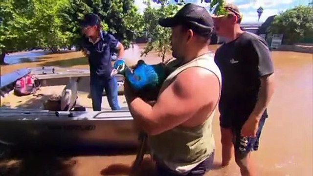 Les calamités des inondations en Australie : deux morts, des dégâts et des invasions d'araignées