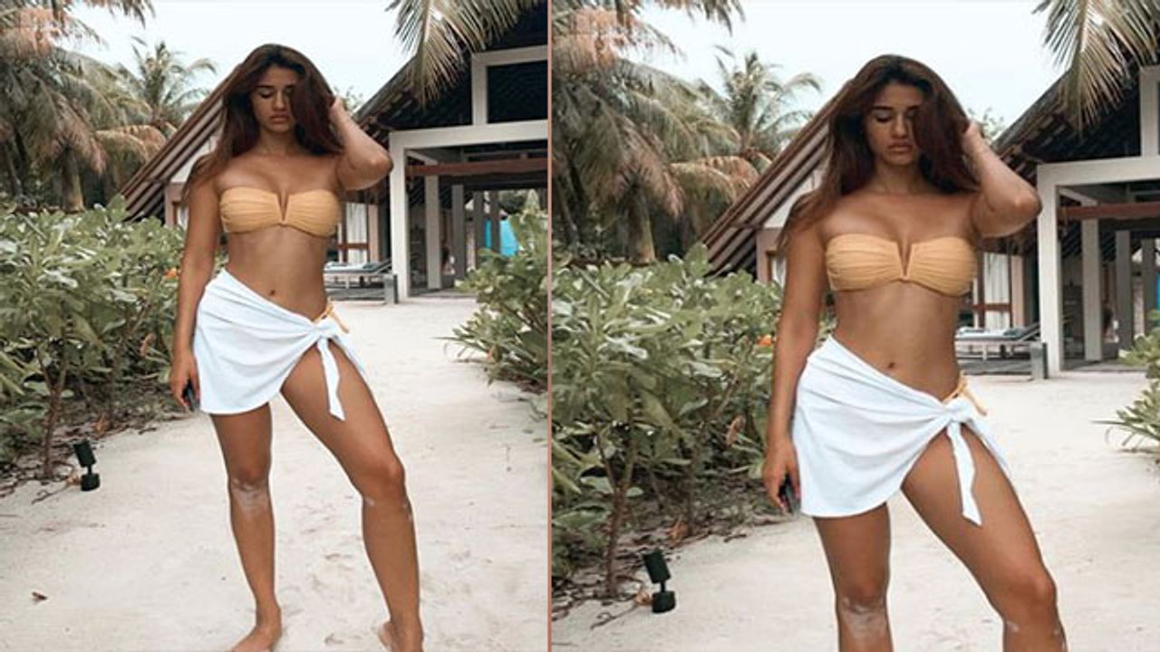 Disha Patani का Sexy और Hot अंदाज़ देख भड़के Fans, गुस्से में किया Troll !। FilmiBeat