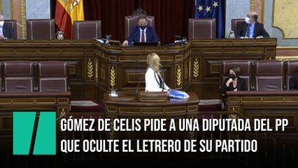 Gómez de Celis pide a una diputada del PP que oculte el nombre de su partido