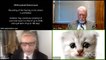 That Zoom Call with the Lawyer-Cat, Explained