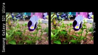 Samsung Galaxy S21 Ultra Vs Rog Phone 5 Camera Test | camera test 2021