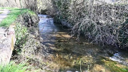 Denis_Crouzel -  Président du Syndicat Mixte du Bassin Versant de la Vézère