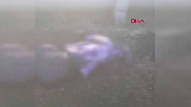 ADANA Hamile kadın yol kenarında ölü bulundu, kardeşi gözaltına alındı