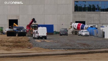 Tesla: Der neue Platzhirsch auf dem Automarkt?