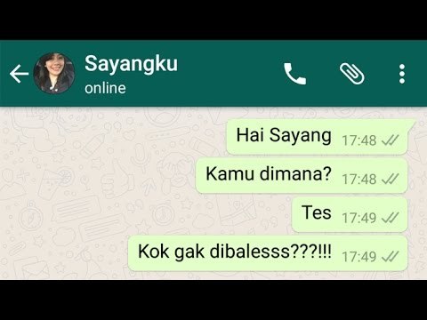 Cara Mengetahui Pesan WhatsApp Sudah Dibaca atau Belum!