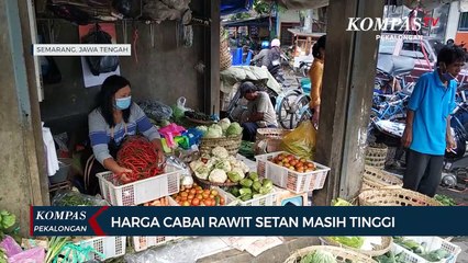 Harga Cabai Setan Masih Tinggi