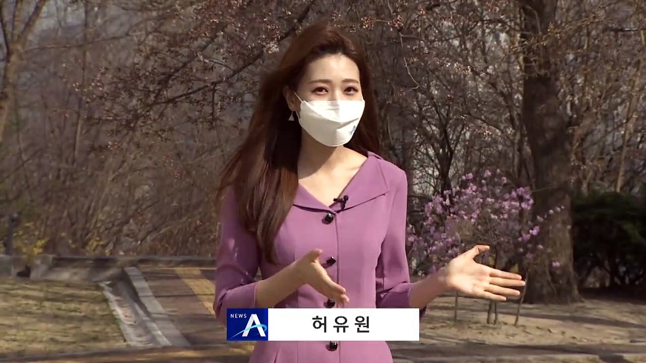[날씨]서울 벚꽃 공식 개화…내일 포근, 동해안 ‘건조경보’