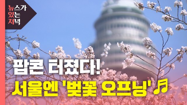 [뉴있저] 서울 '벚꽃 오프닝'...관측 100년 사상 가장 일러 / YTN