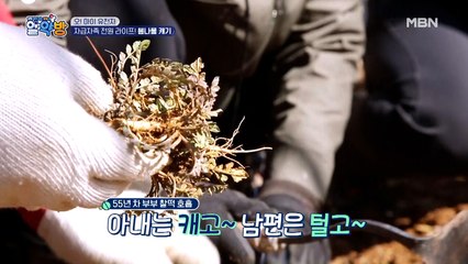 자급자족 전원 라이프! 봄나물 캐기