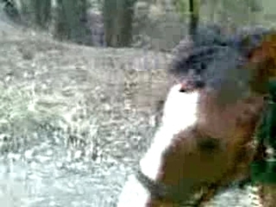galop kali+nani