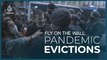 Pandemic Evictions I Fly On The Wall