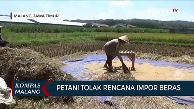 Petani di Malang Tolak Rencana Impor Beras