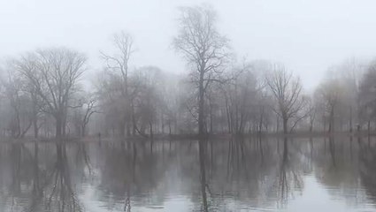 Thick fog enshrouds Brooklyn park