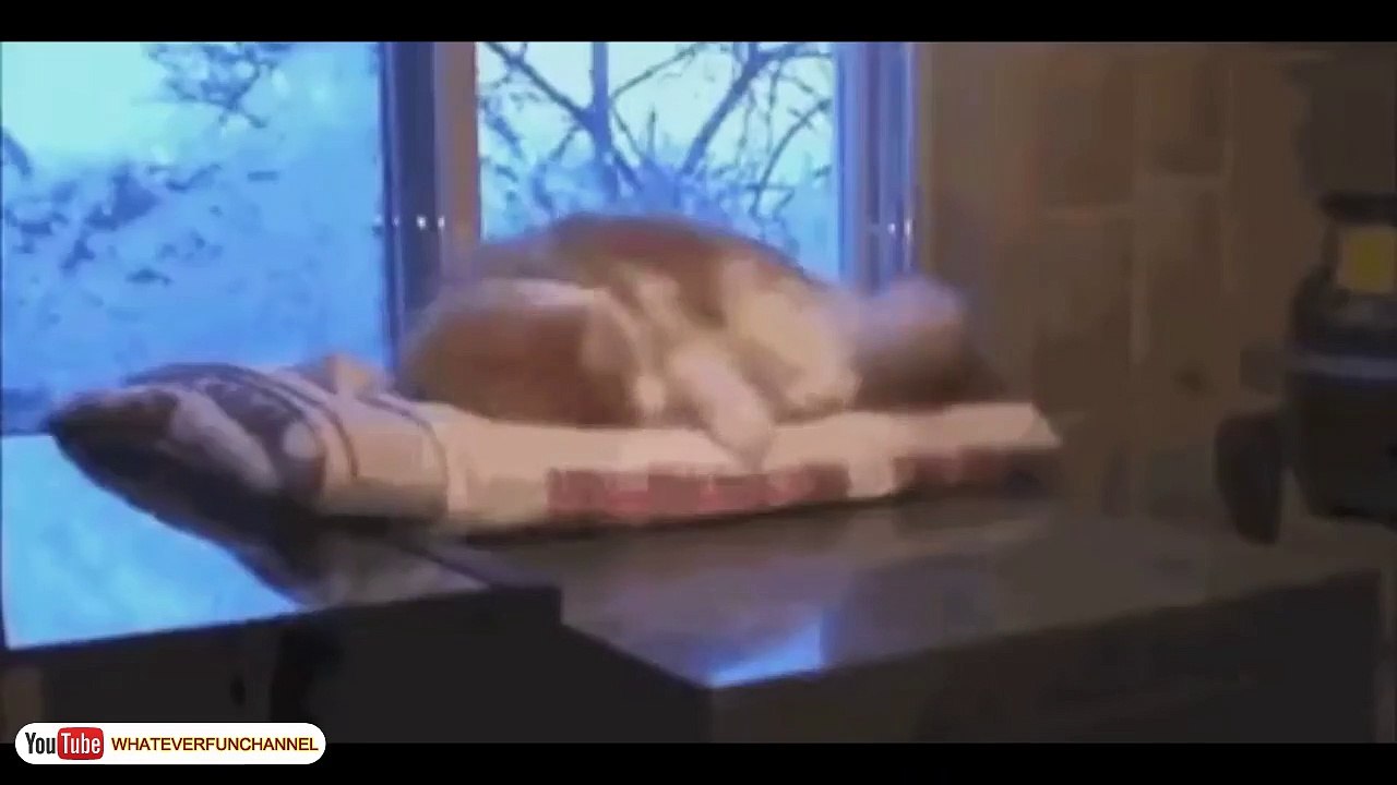 So Cute