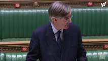 Jacob Rees-Mogg rules out tougher sentences for dog thieves