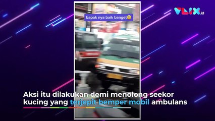 Aksi Pemotor Hadang Ambulans Demi Tolong Kucing!