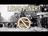 MENGERIKAN, INI YANG TERJADI JIKA LEBAH PUNAH!